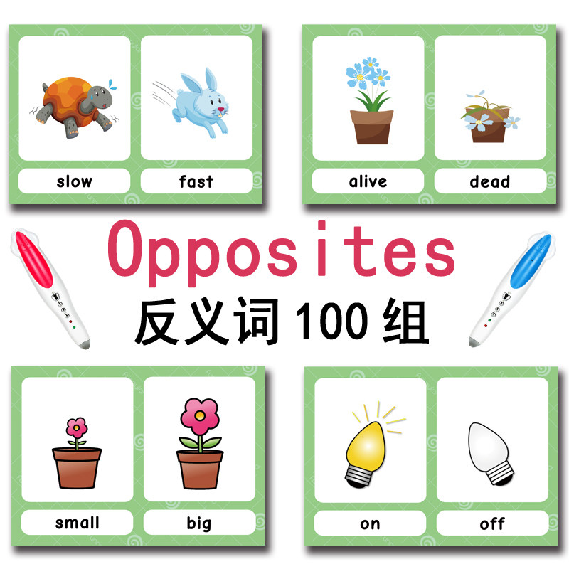 The 100 Groups Opposites Flash - Kids Toys And Games review and price