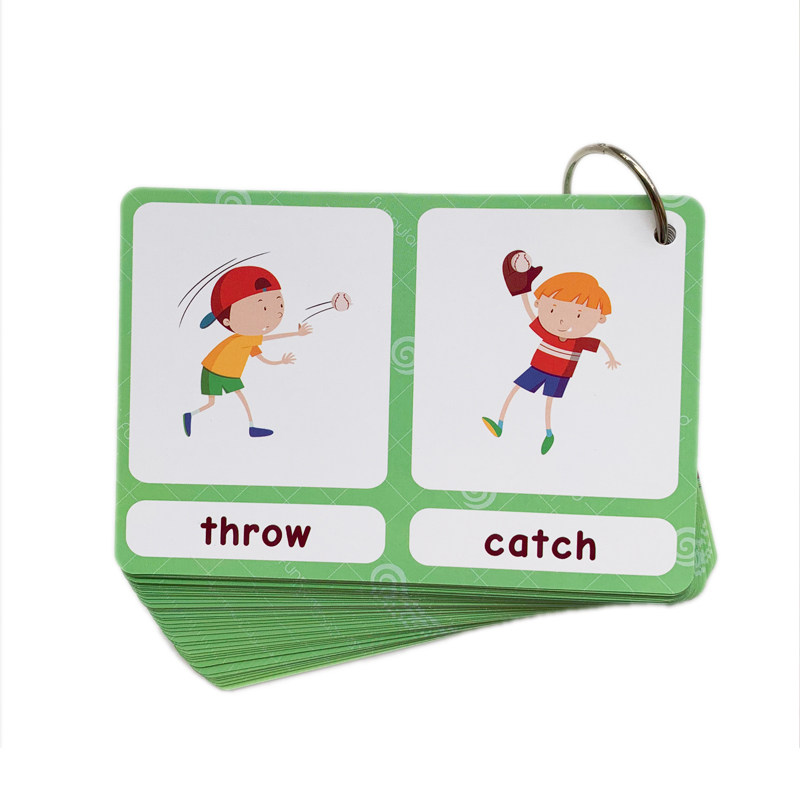 The 100 Groups Opposites Flash - Kids Toys And Games review and price