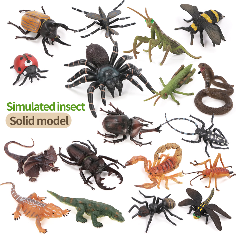 Educational Simulation Insect  - Kids Toys Learning review and price